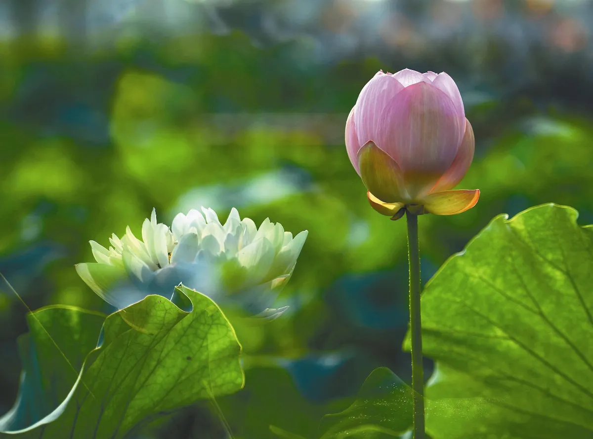 生活處處有佛法