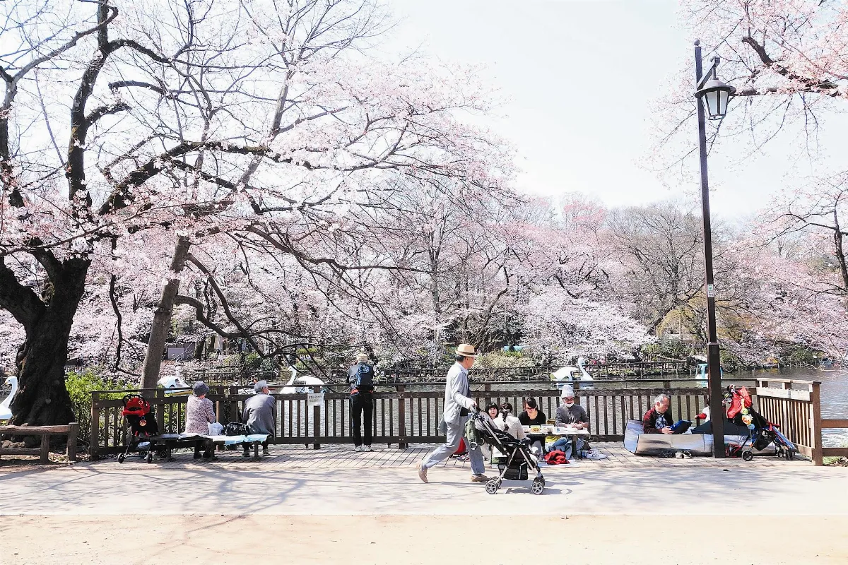 沒有刻意展開的跟著日本文豪的味蕾去旅行——東京文學散策