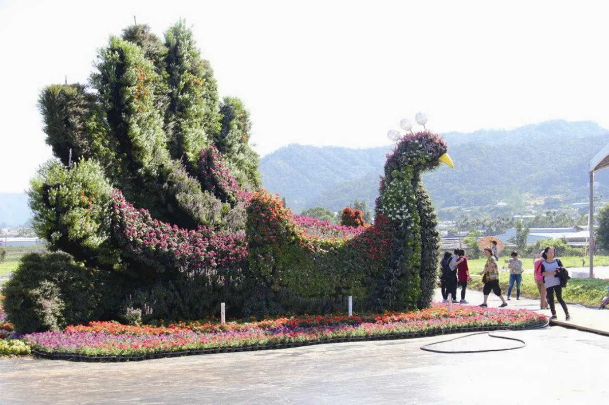 旅遊大小事 新社花海節 花開爭豔