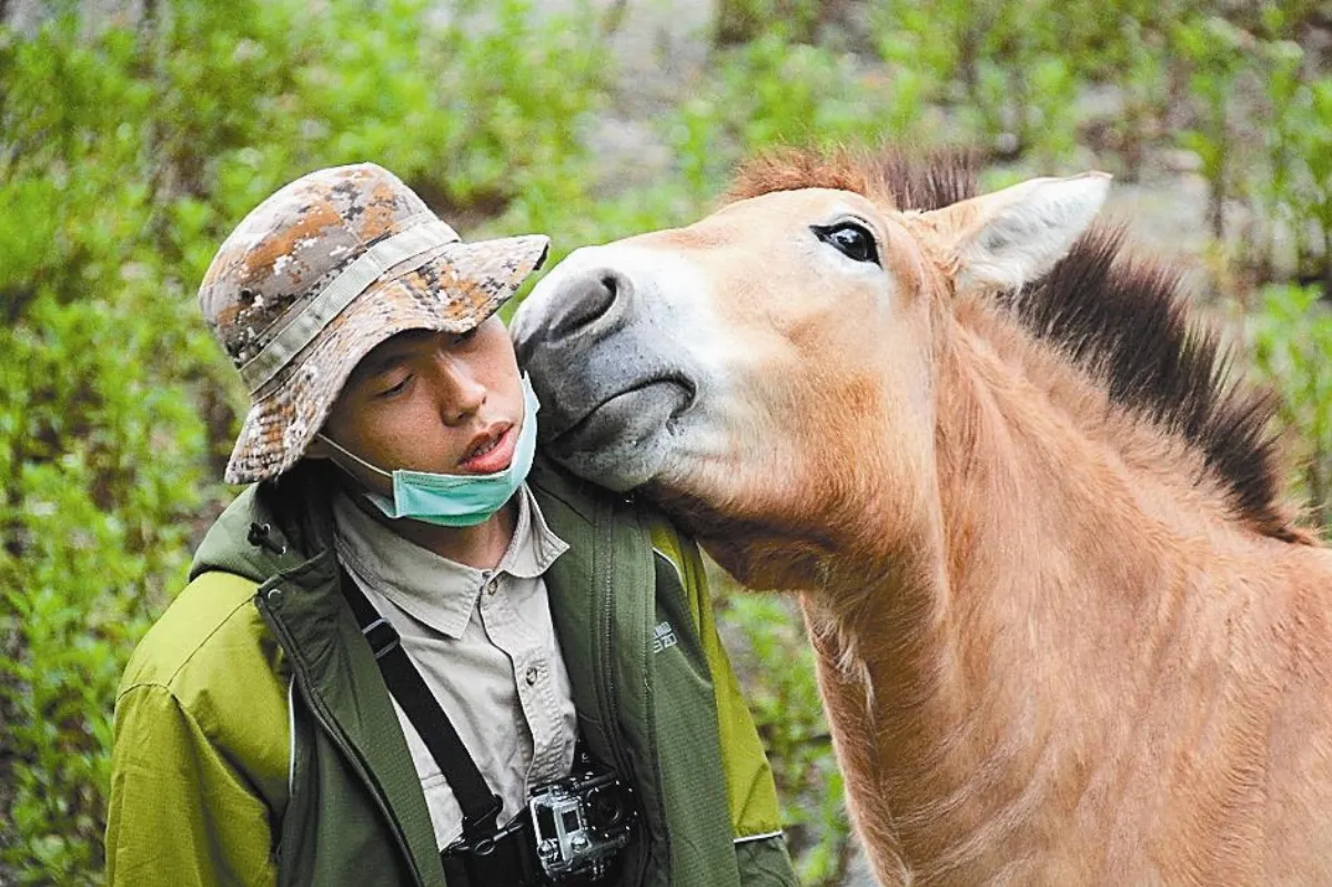 動物園 野馬愛親親