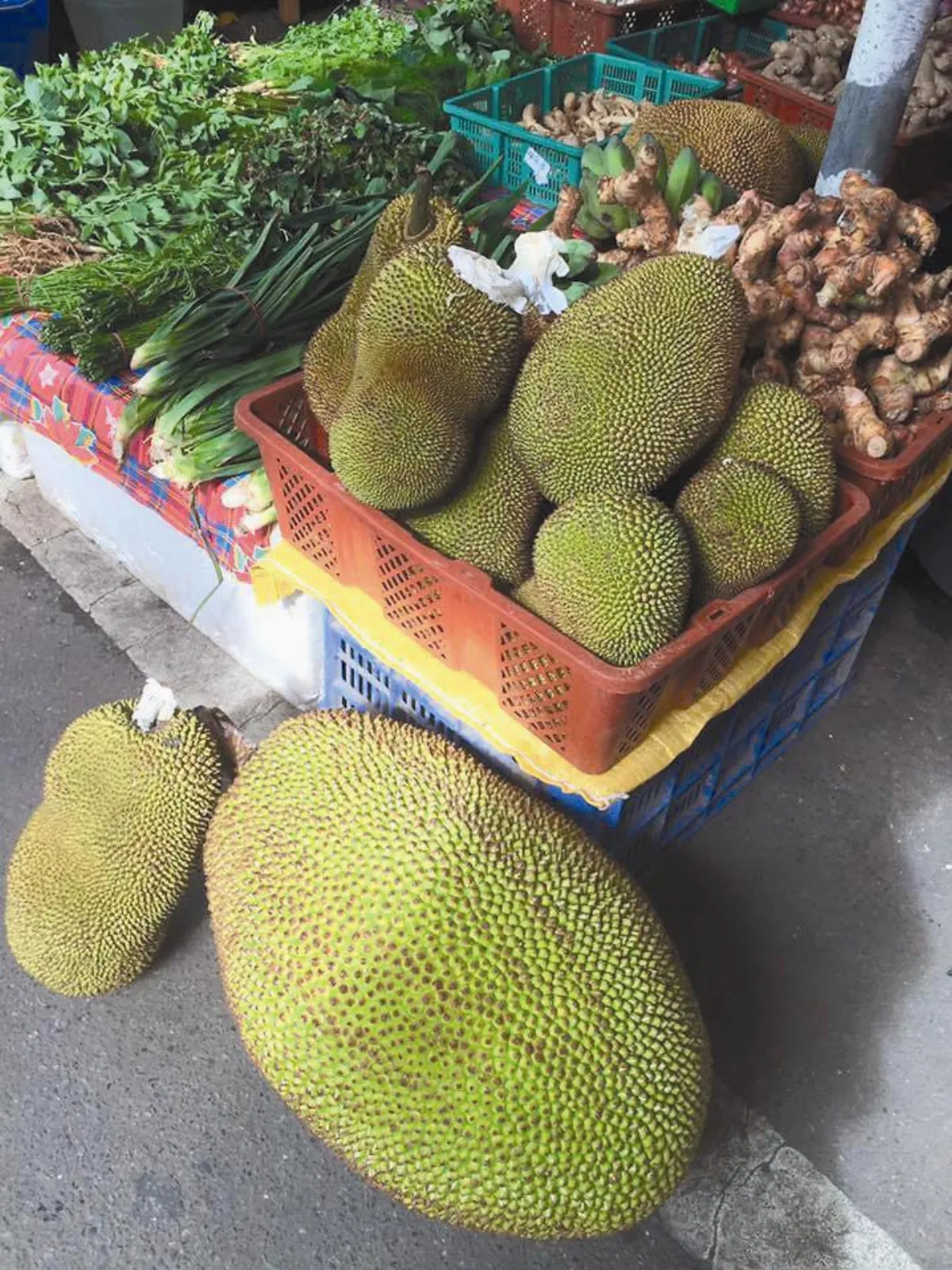 主婦小風景 換個市場買菜去