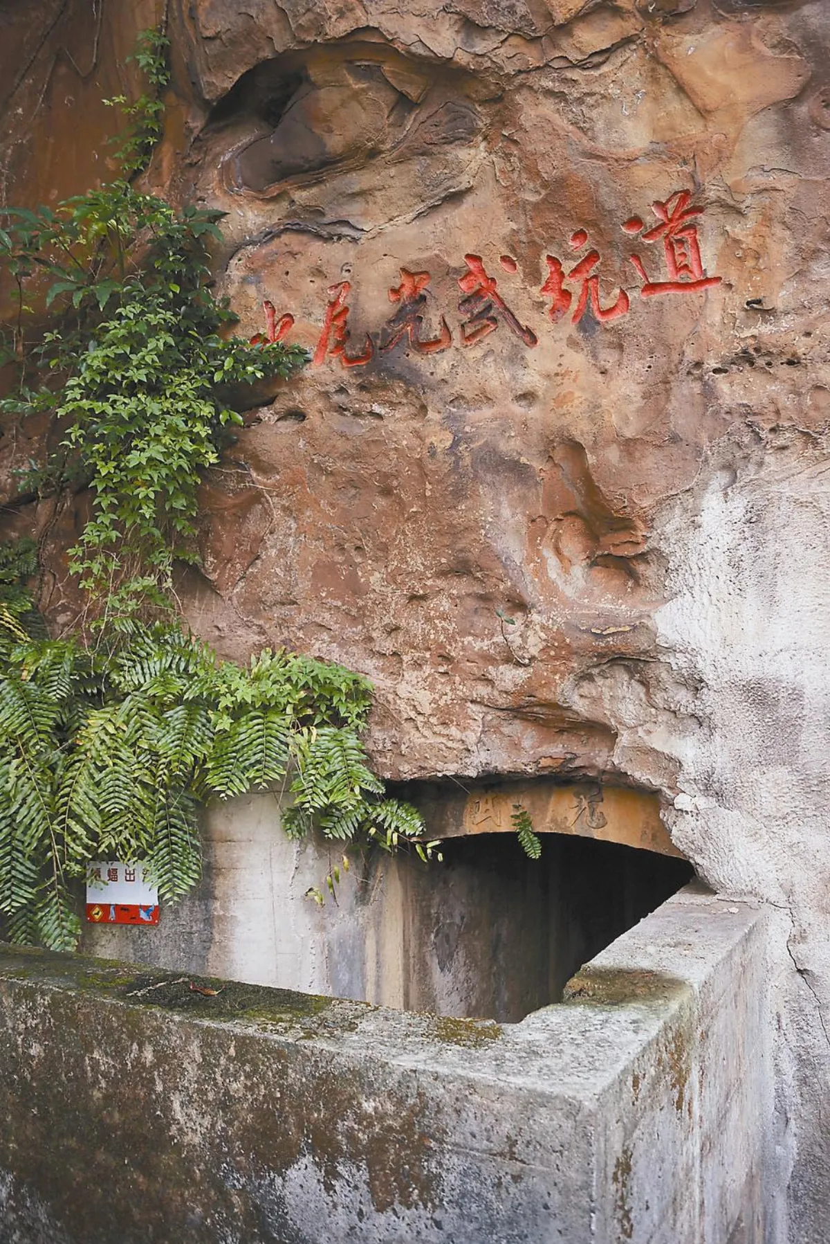金山昔日軍用地 今成蝙蝠家