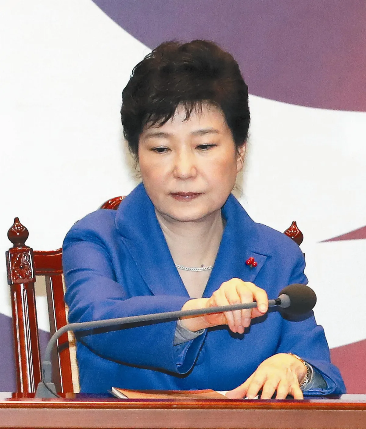 朴槿惠遭彈劾 停止總統職權