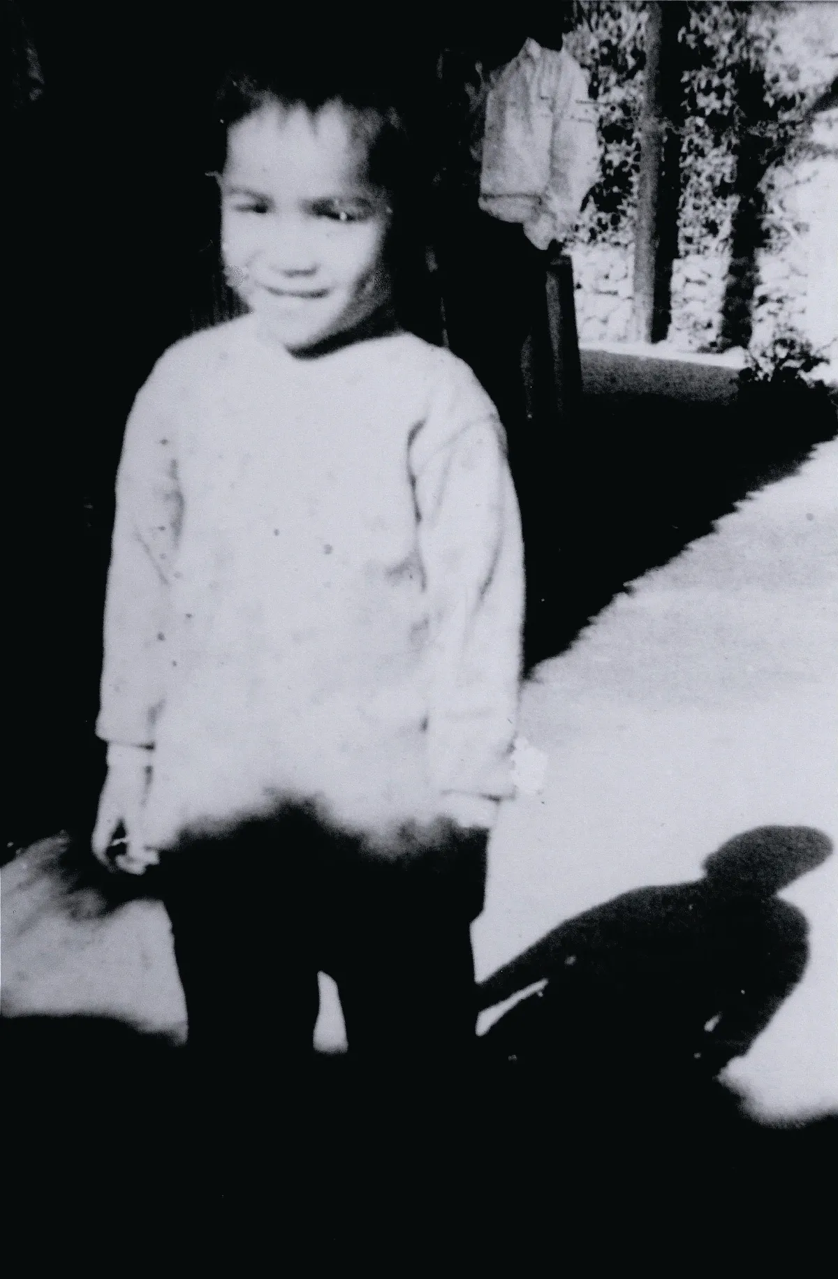 傳記書寫 優席夫油漆工變身藝術家