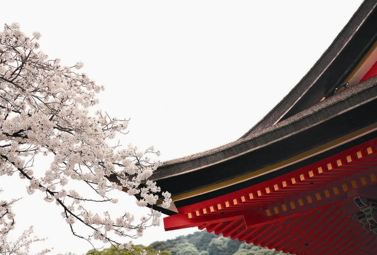 人間系列 叢林語言(下)