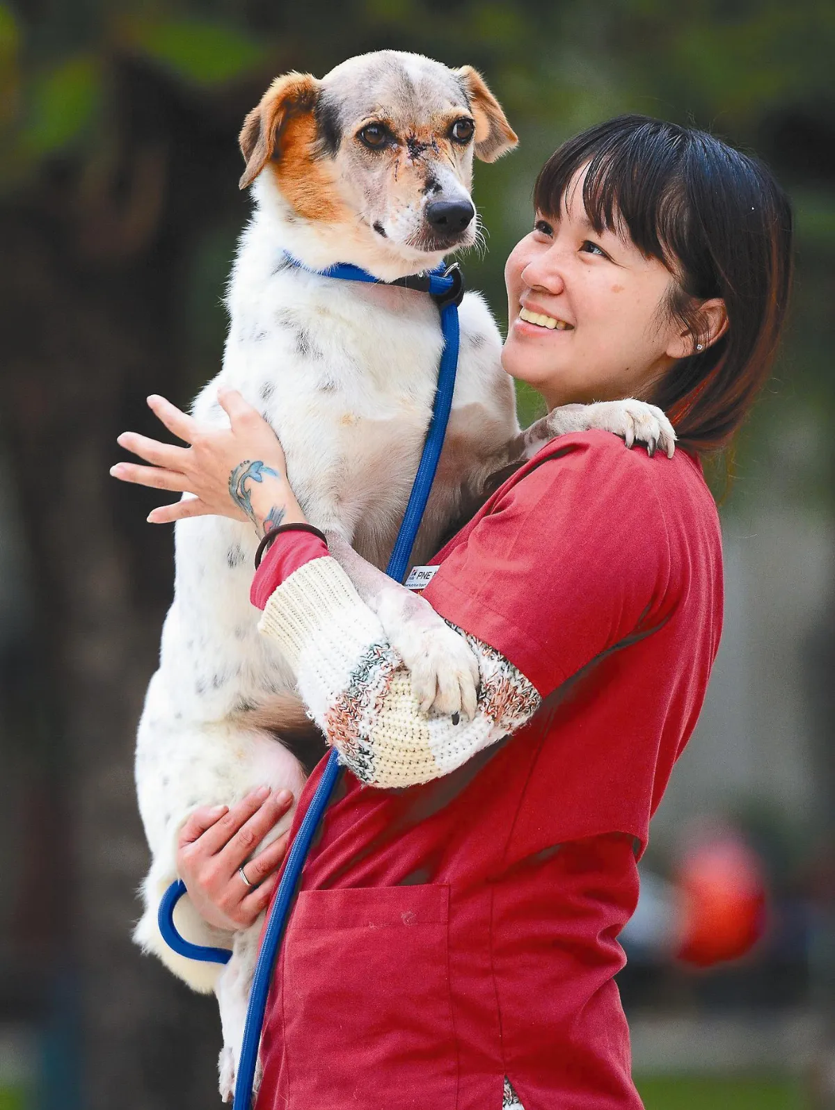 流浪狗小花 飛美補破臉