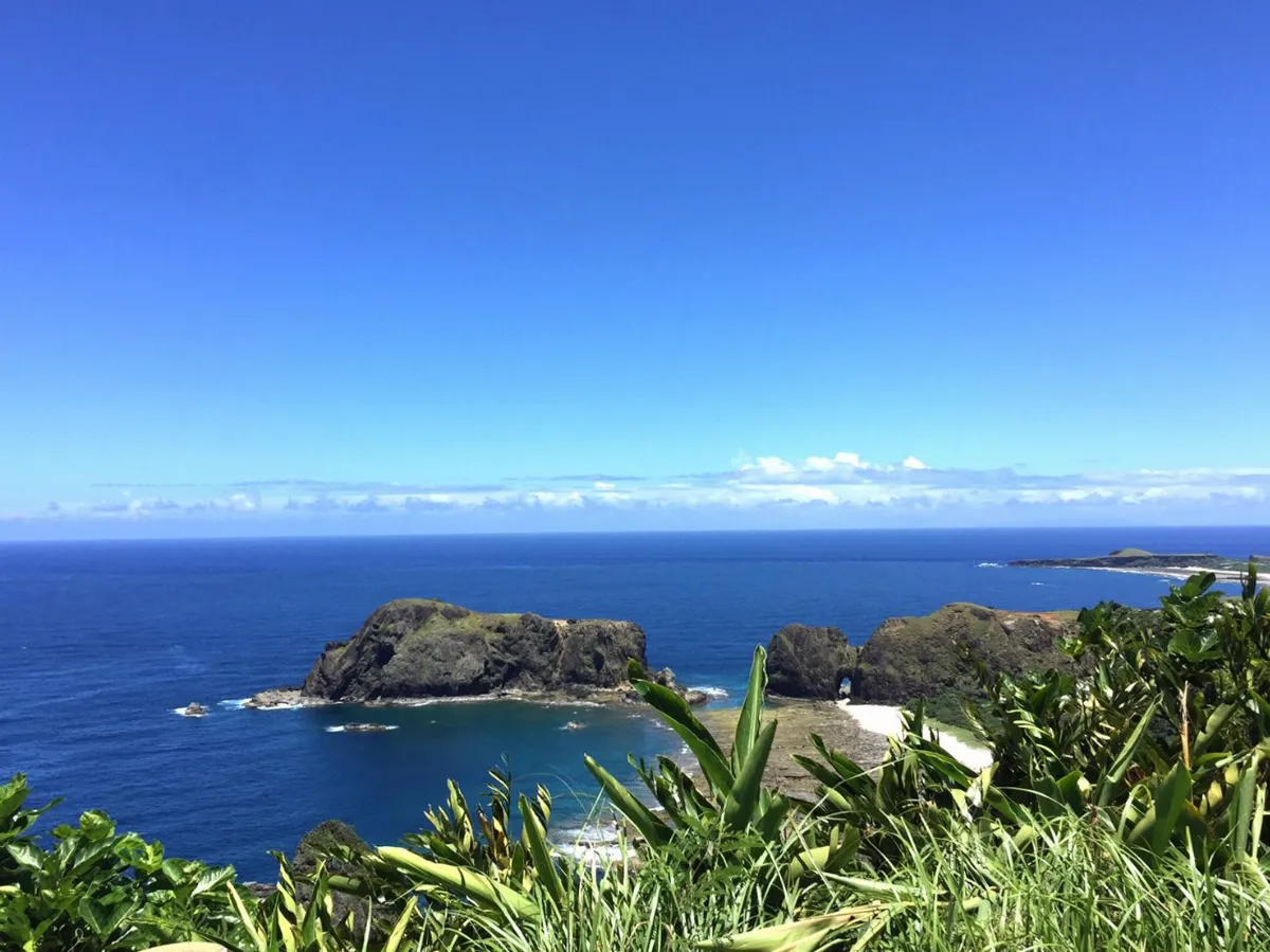 旅行風景 忠狗與美人同享日光浴