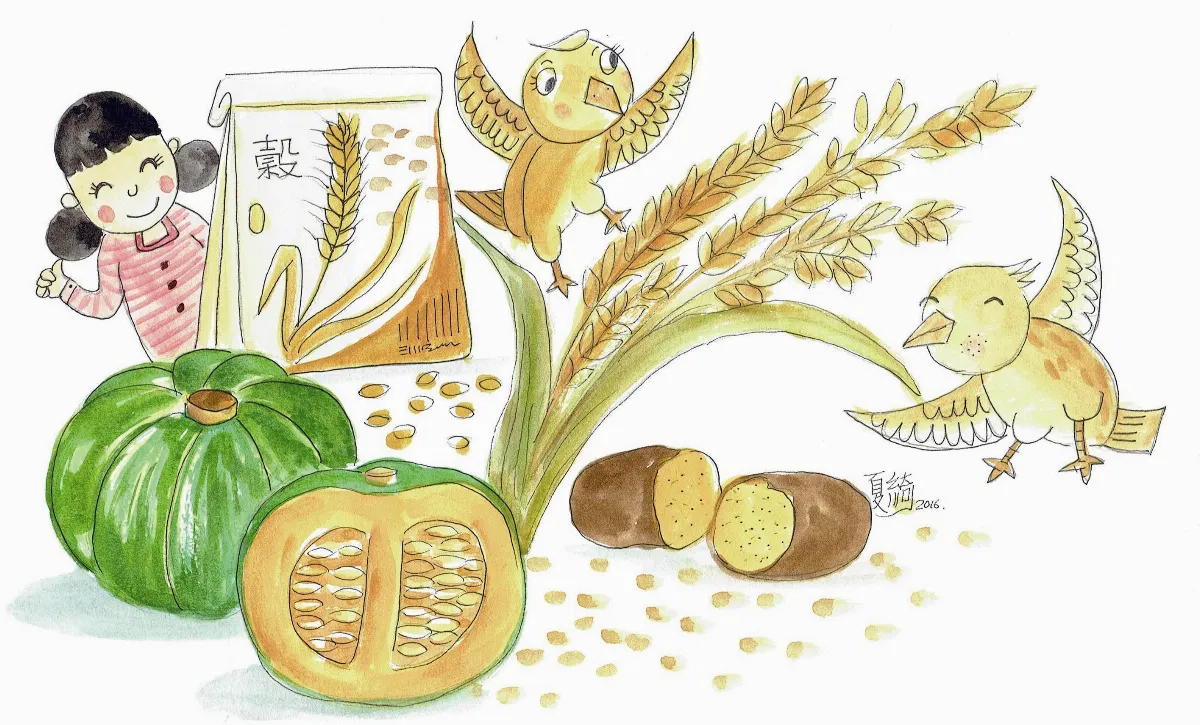 健康兒童 高纖燕麥健康吃