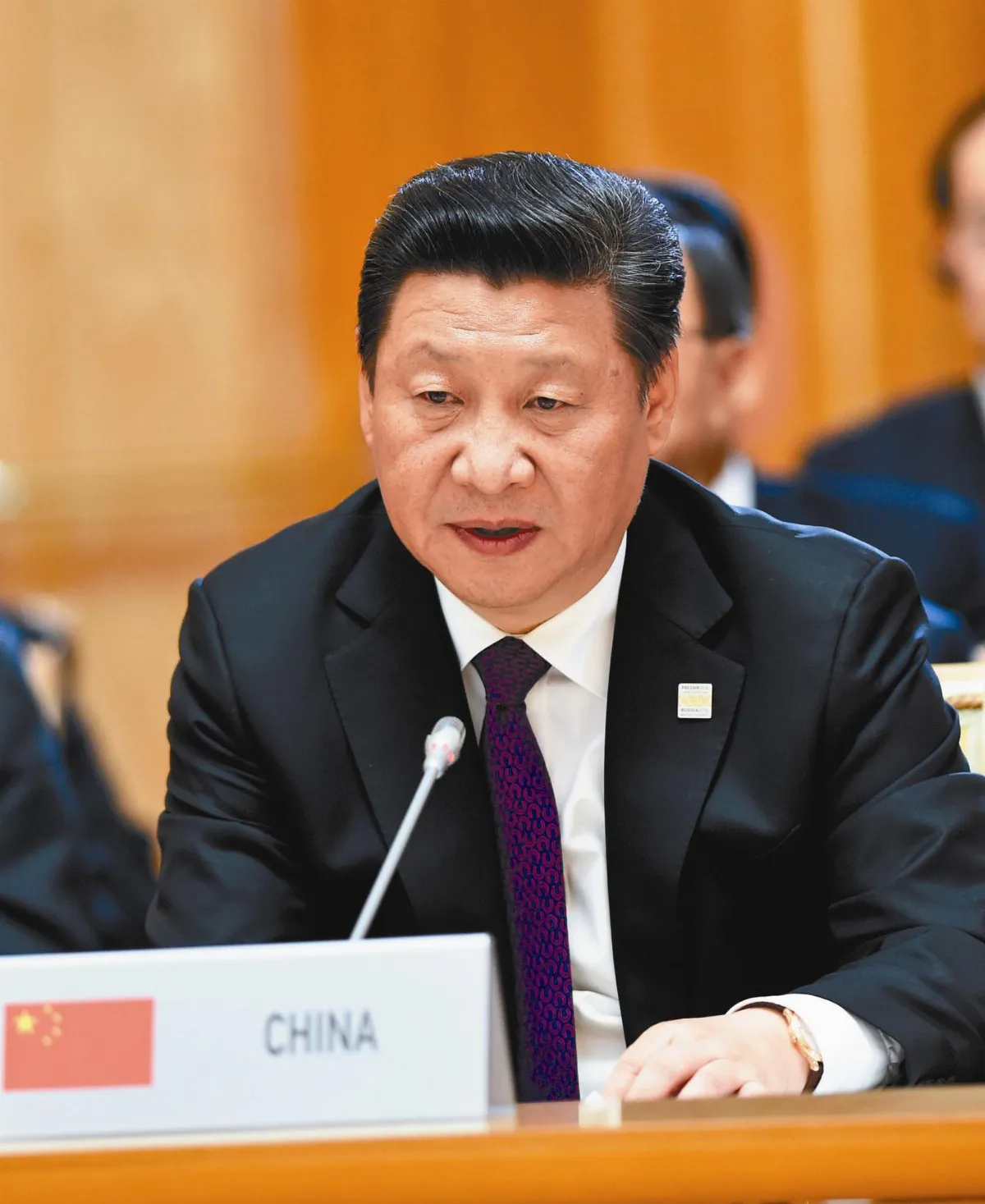 接金磚主席國 中國年揭幕