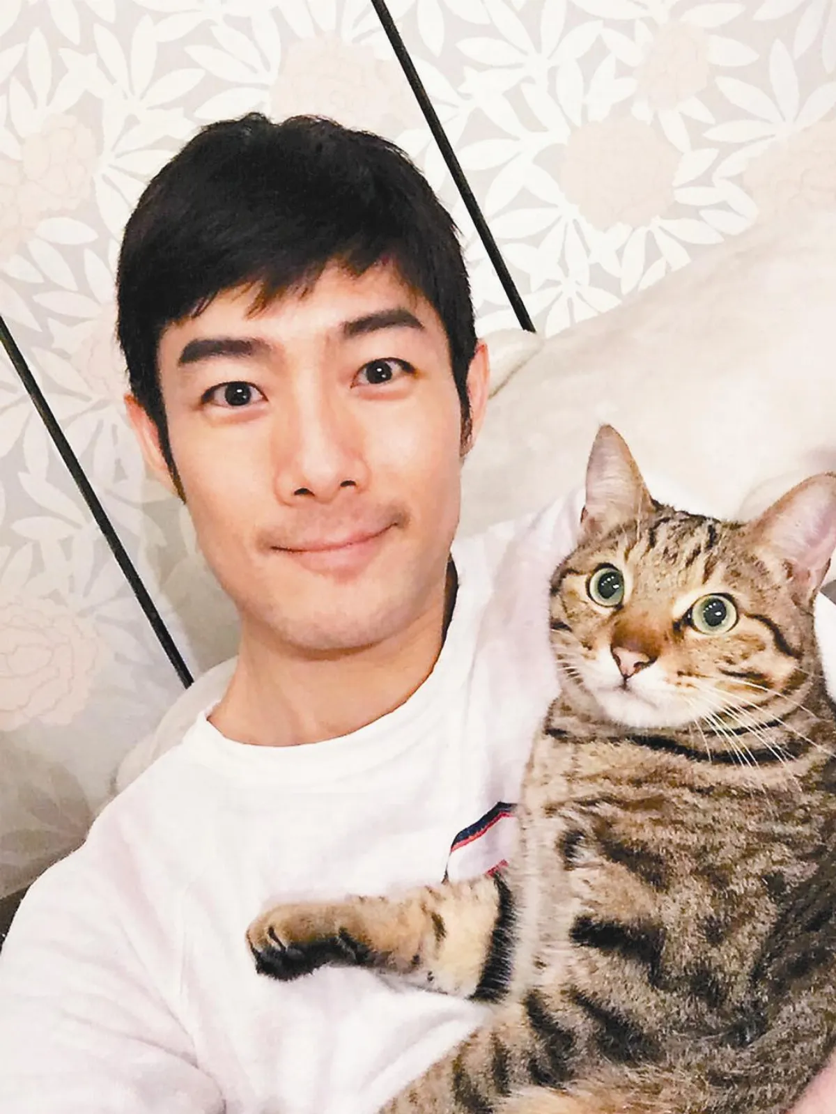 施易男救瘸腿貓 不看帳單