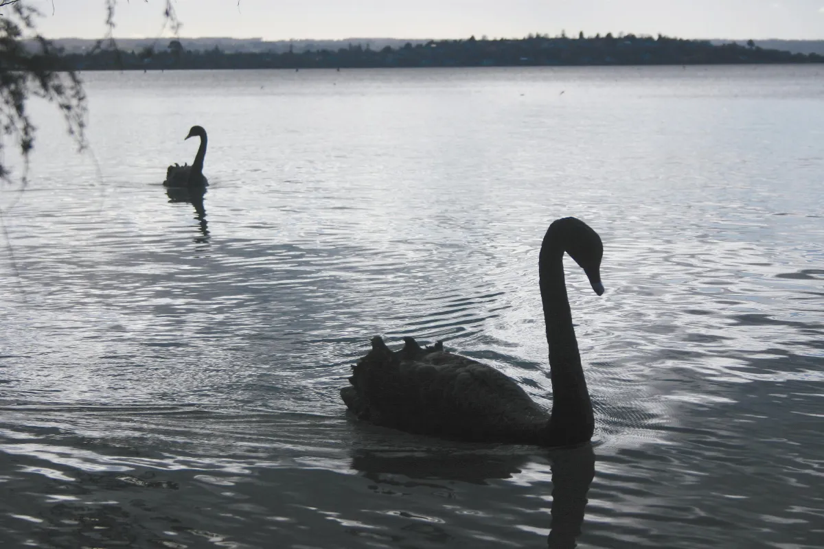 【夜懸明鏡青天上】當我遇見你──新春隨筆