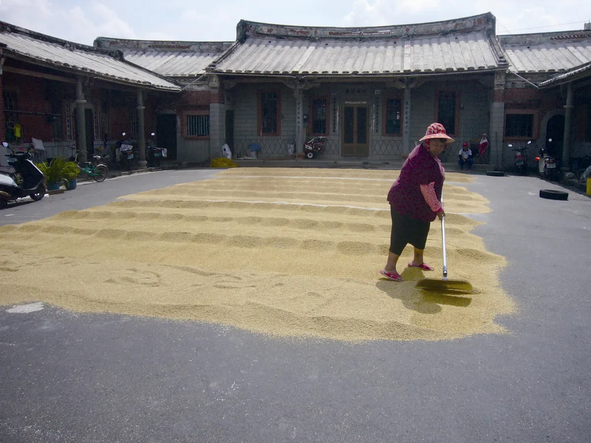 記憶 光影 古厝曬稻榖