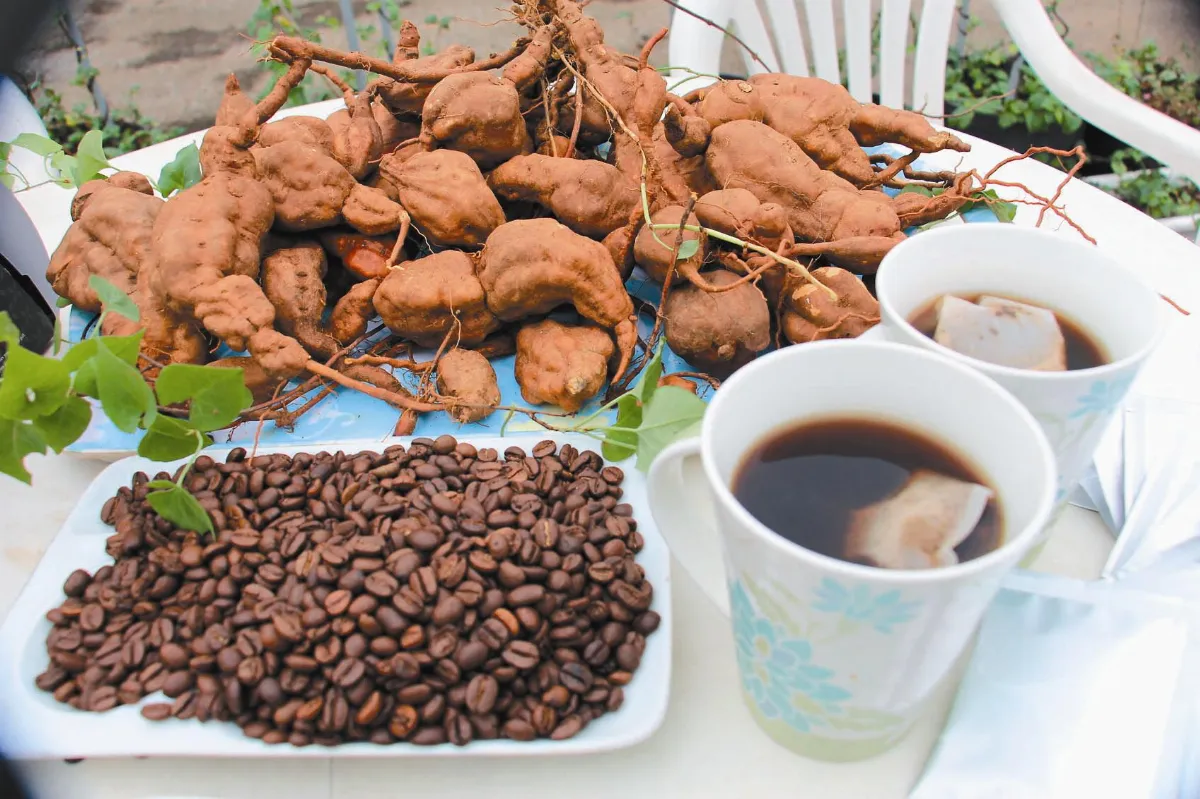 何首烏+咖啡 大膽突破 苦澀滋味變清香