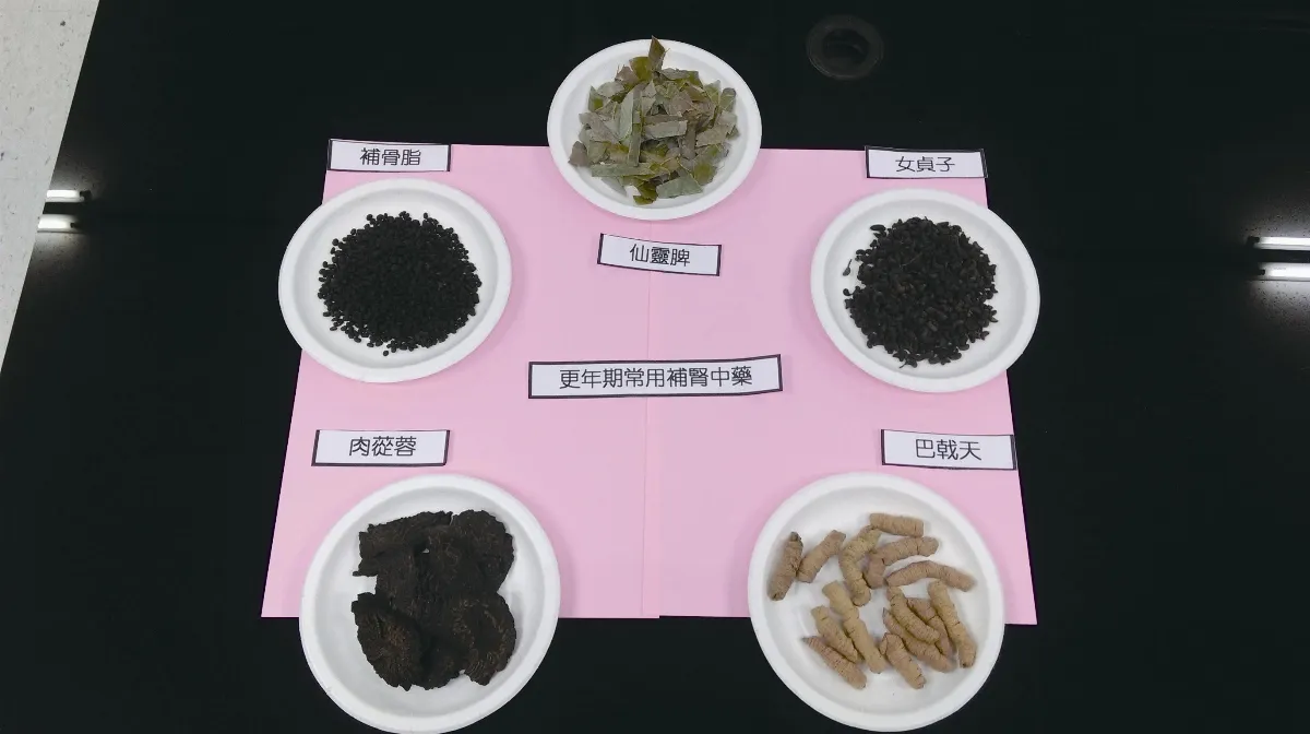 中醫出任務 更年期愈活愈美麗