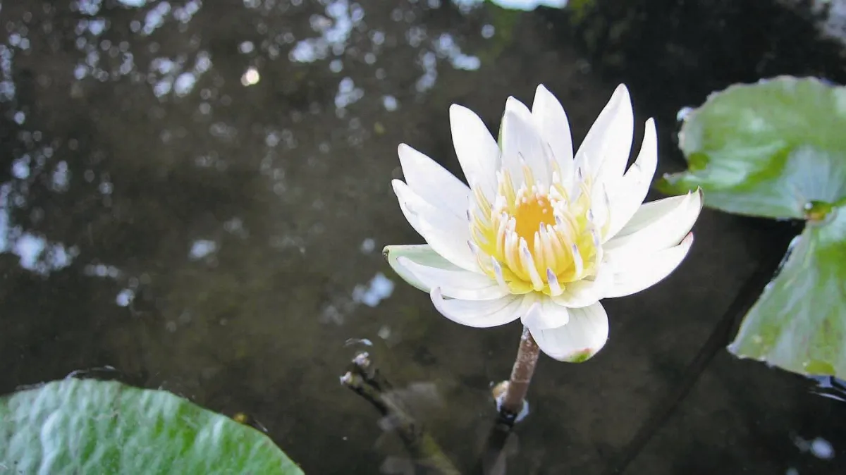 慚愧