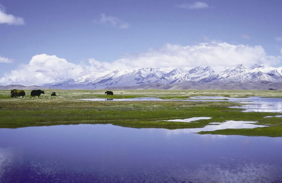 佛法真義 四法界