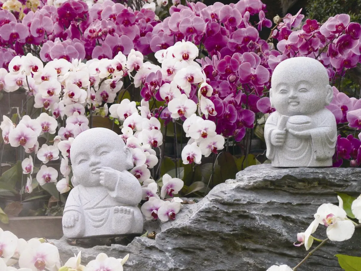 佛法真義 四法界