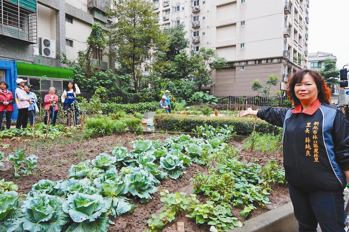 複合式可食地景 里民採菜趣