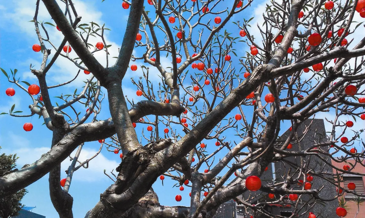 浮世畫框  小紅燈籠
