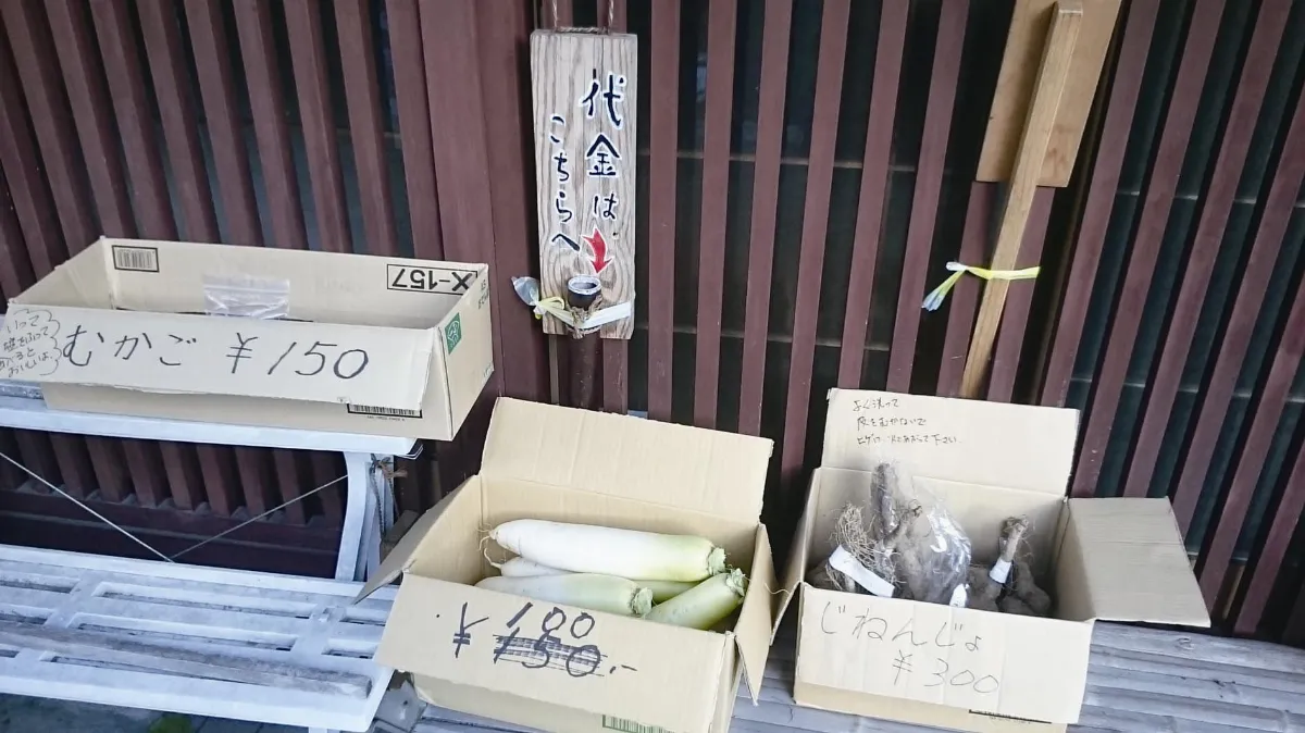 旅行風景 屋簷下的感動