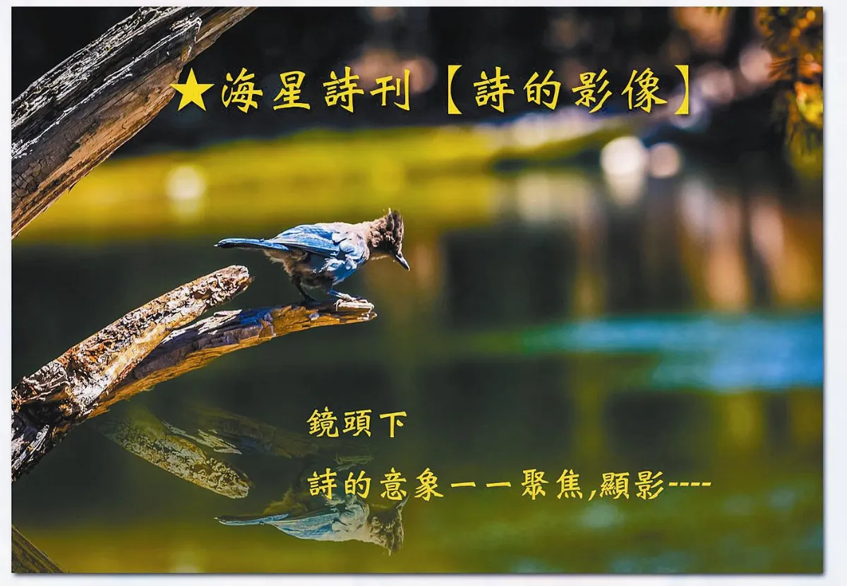 藝文訊息 詩的影像