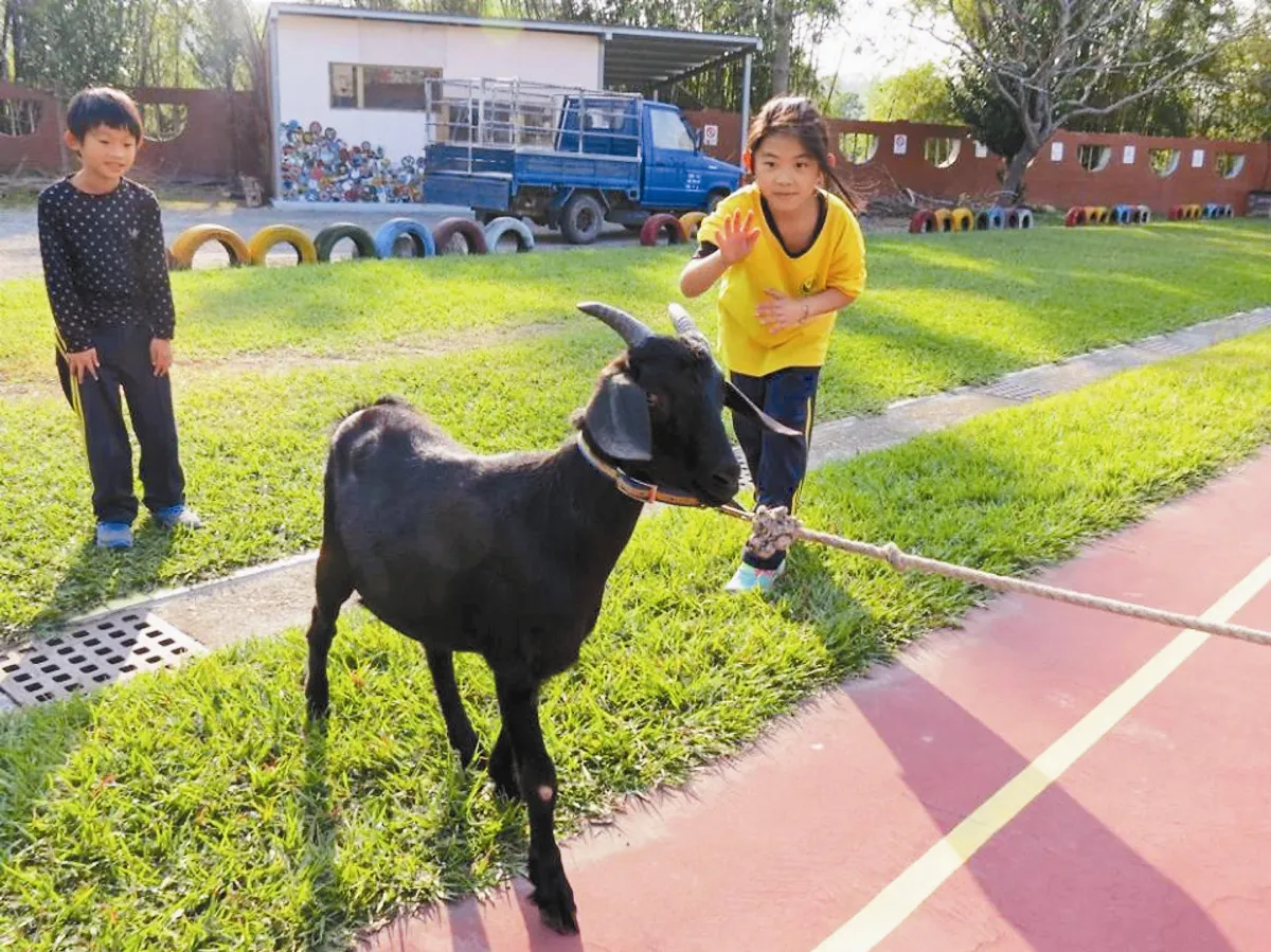 以動物為師 生命教育活教材