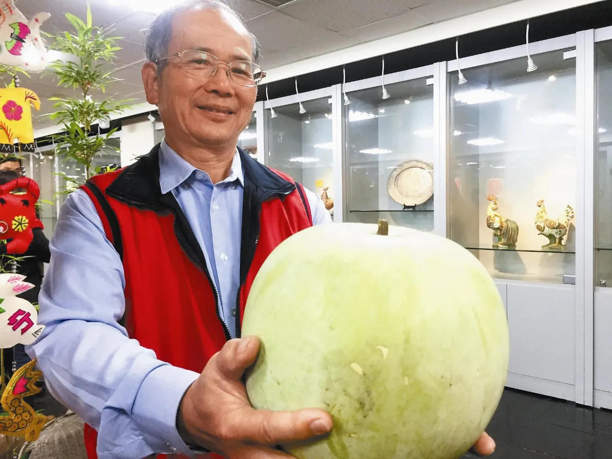 外觀西瓜 果肉冬瓜