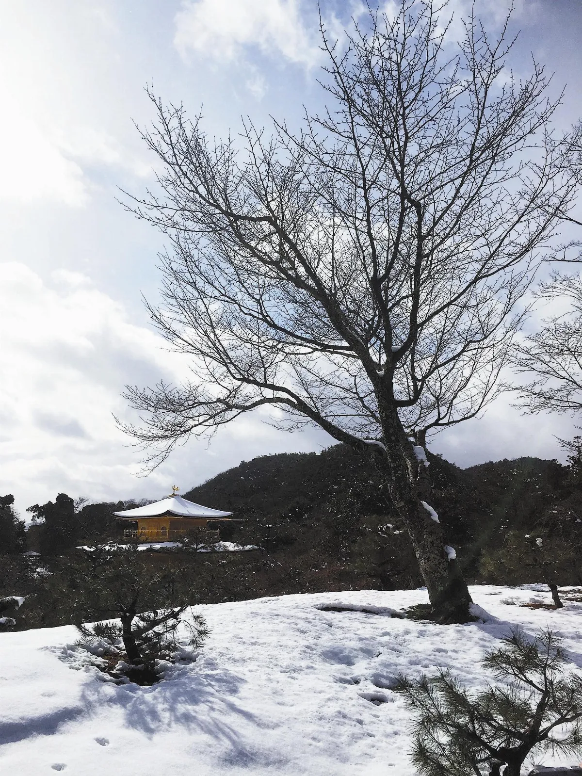 遨遊藝事 金閣鹿苑寺