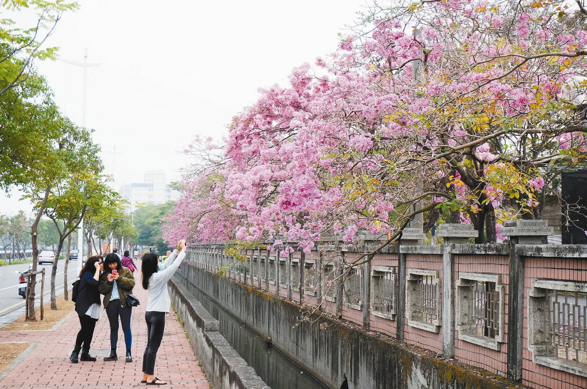 風鈴綻響 粉紅療癒系