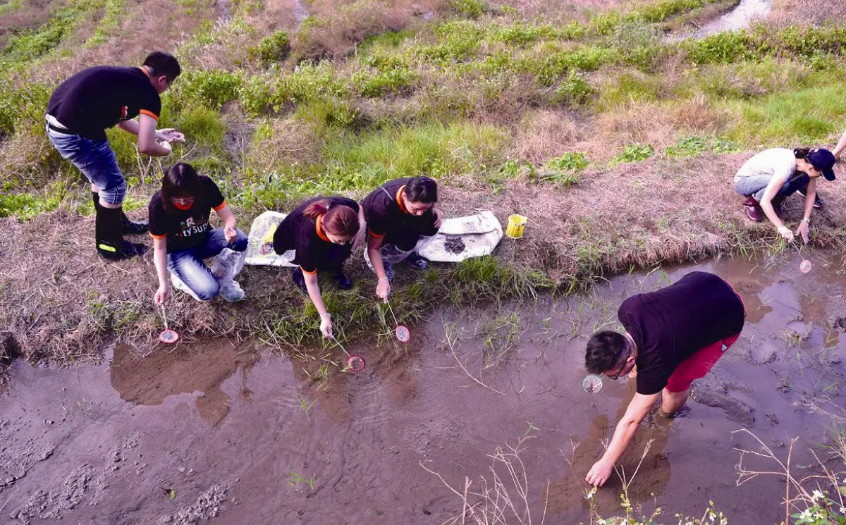 守護農村 百年梯田  種出安心千歲米