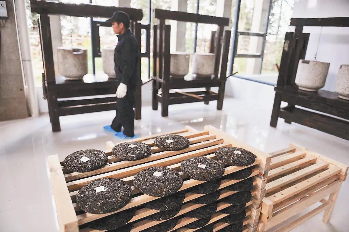 雲茶競爭力強  選上太空第1杯茶