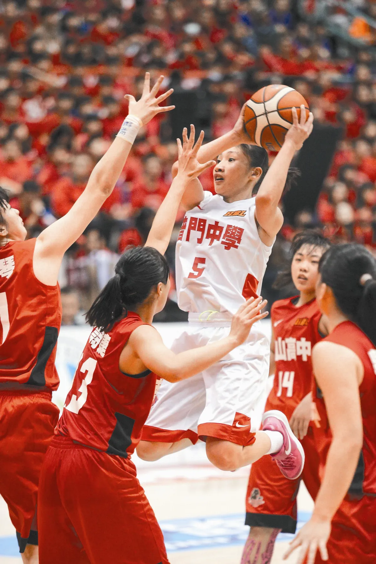 HBL 普門、永仁 今爭后冠
