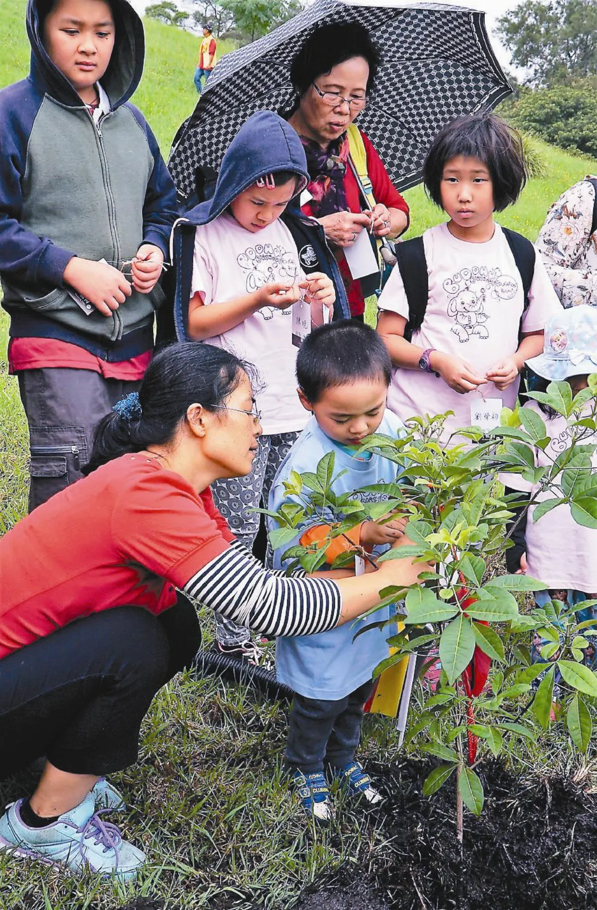 回饋大自然 南天寺植樹苗