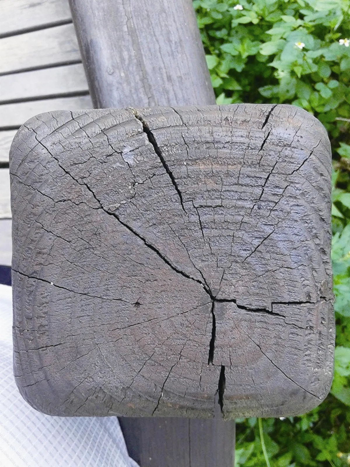 生活快門 自在人生