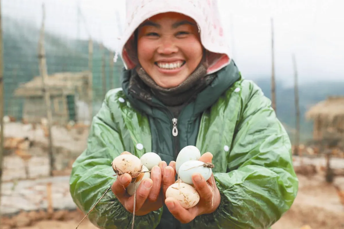 小小綠殼蛋收入翻倍
