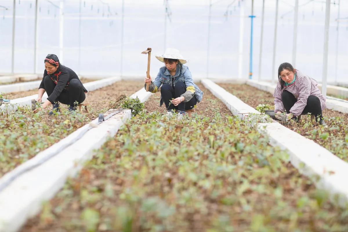 貴州是脫貧最大挑戰