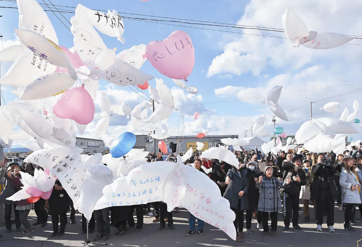 6周年 311災民重返家園野豬攔路