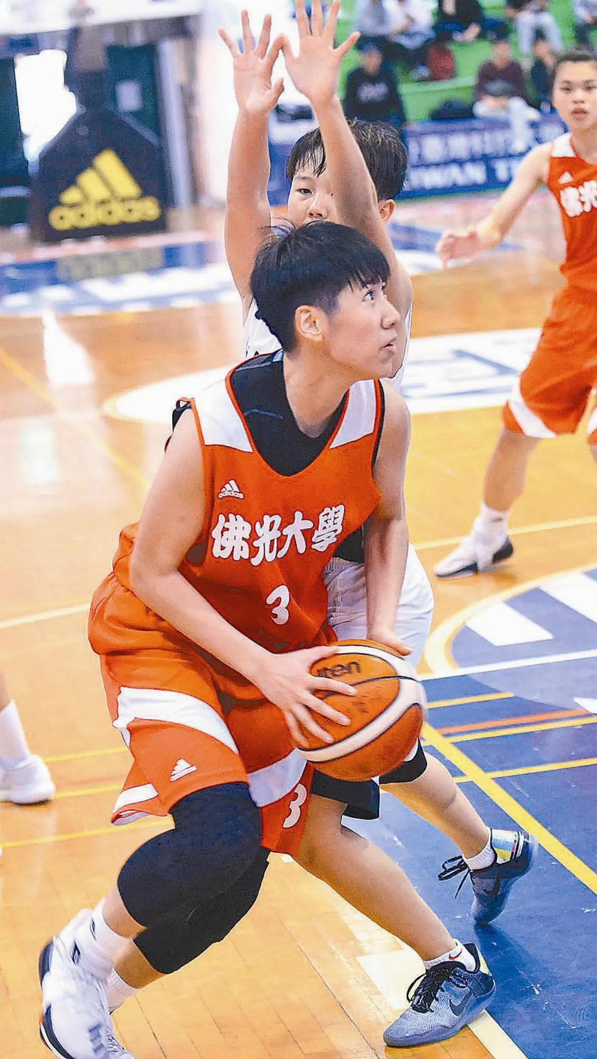 文大黃金陣容 瞄準3連后