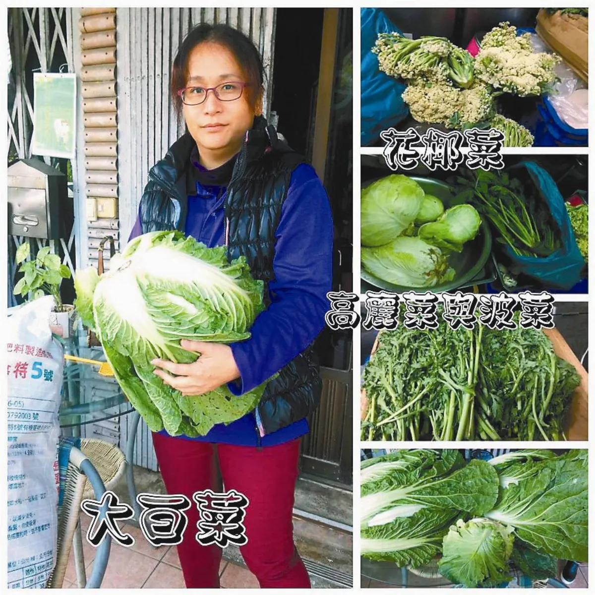 無力負擔 他們拿食物換長照