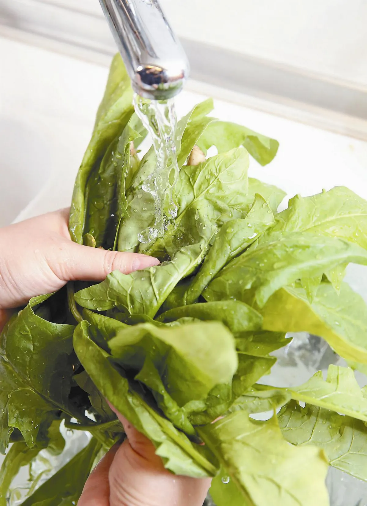 茶葉用農藥氟派瑞 暫緩實施