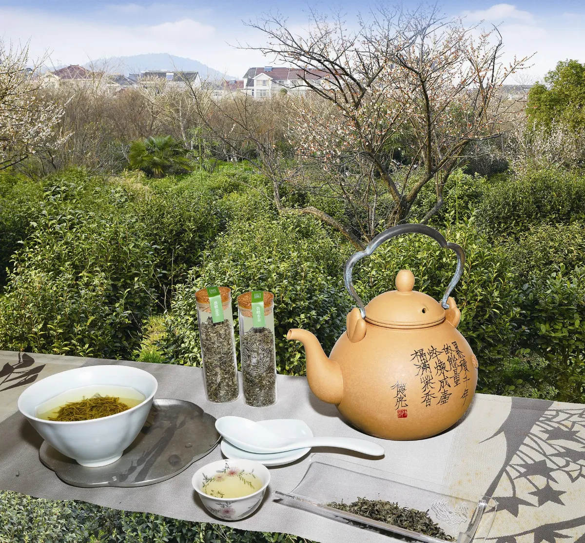 春訪碧螺春故鄉 ——太湖東山與西山