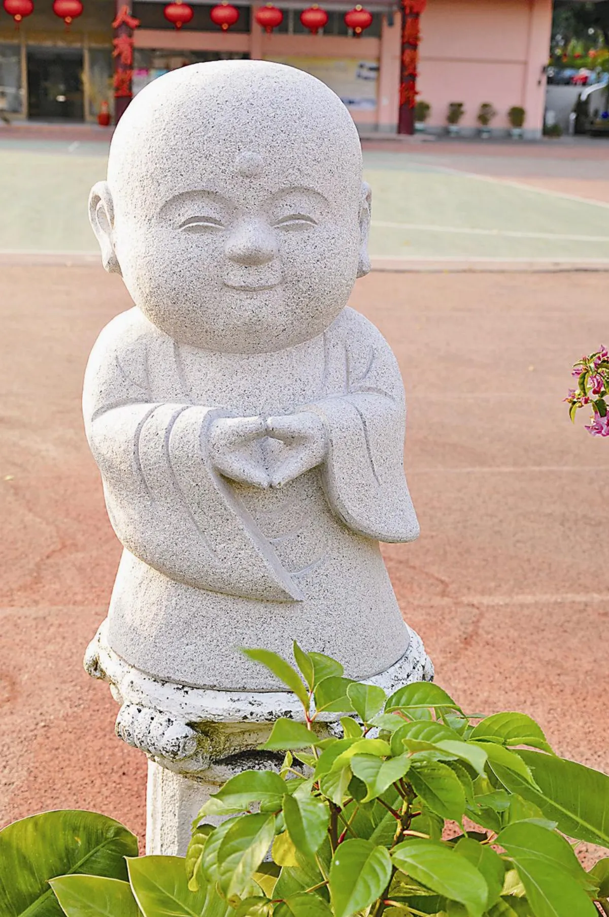 佛法真義 與病為友