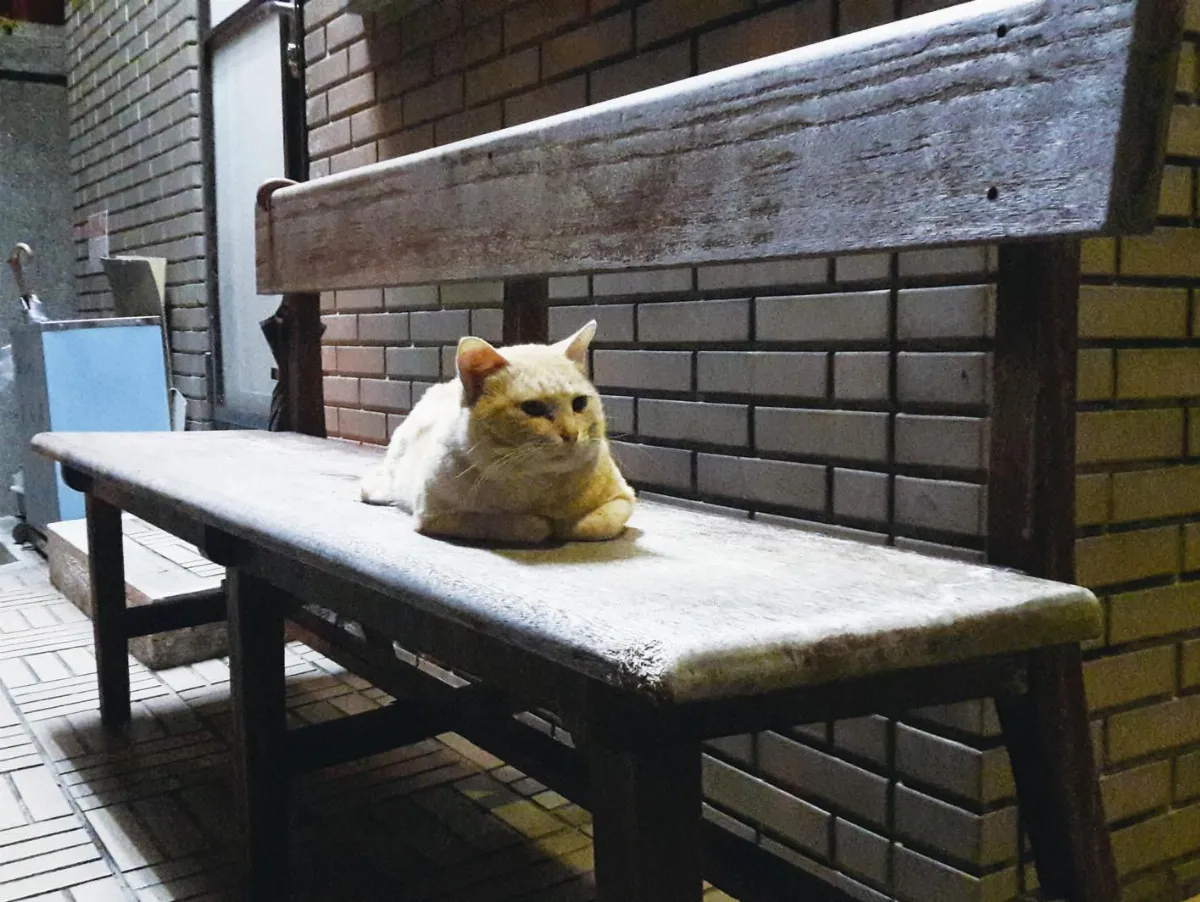 生活快門 獨享大位