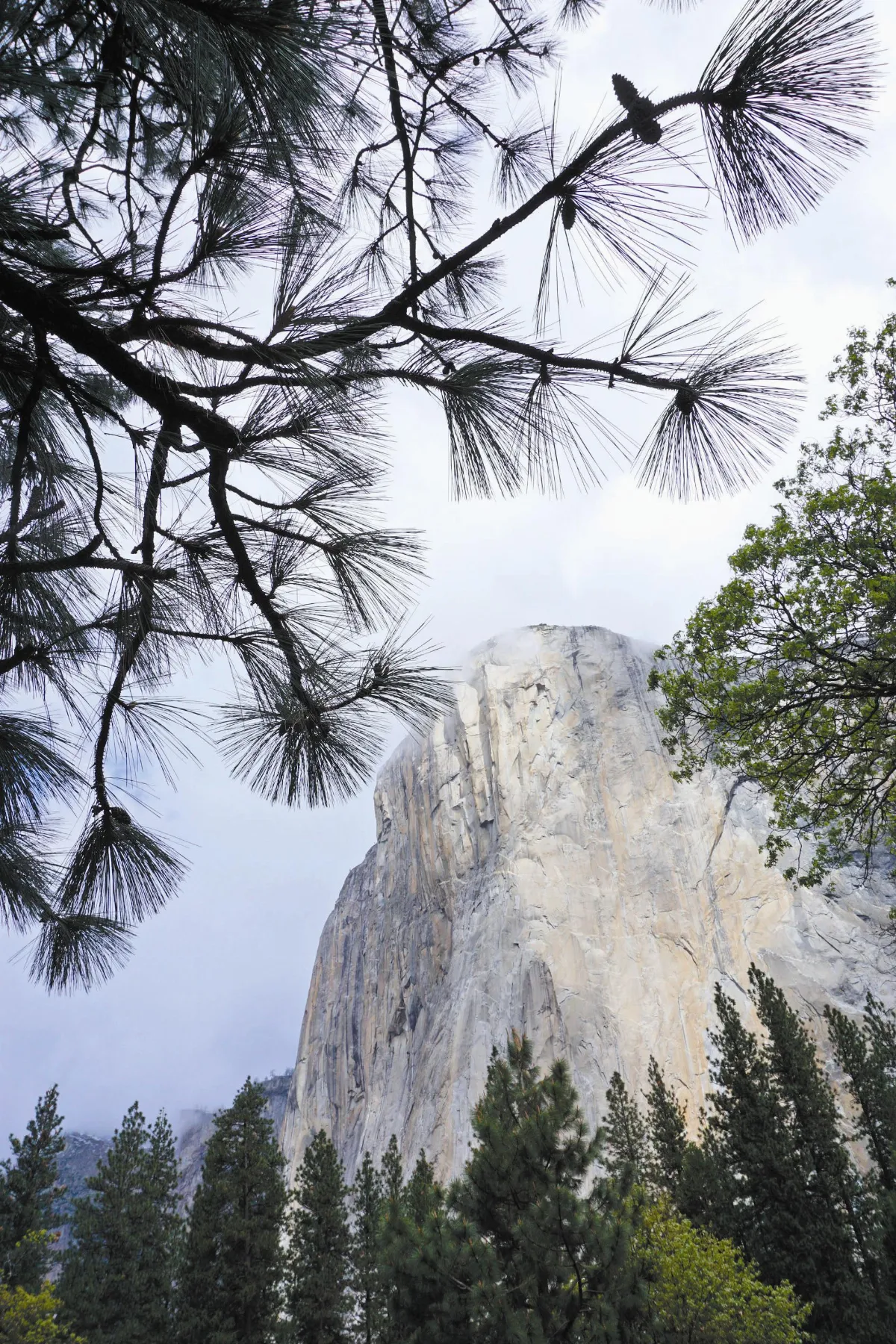 夜懸明鏡青天上 單色畫之美