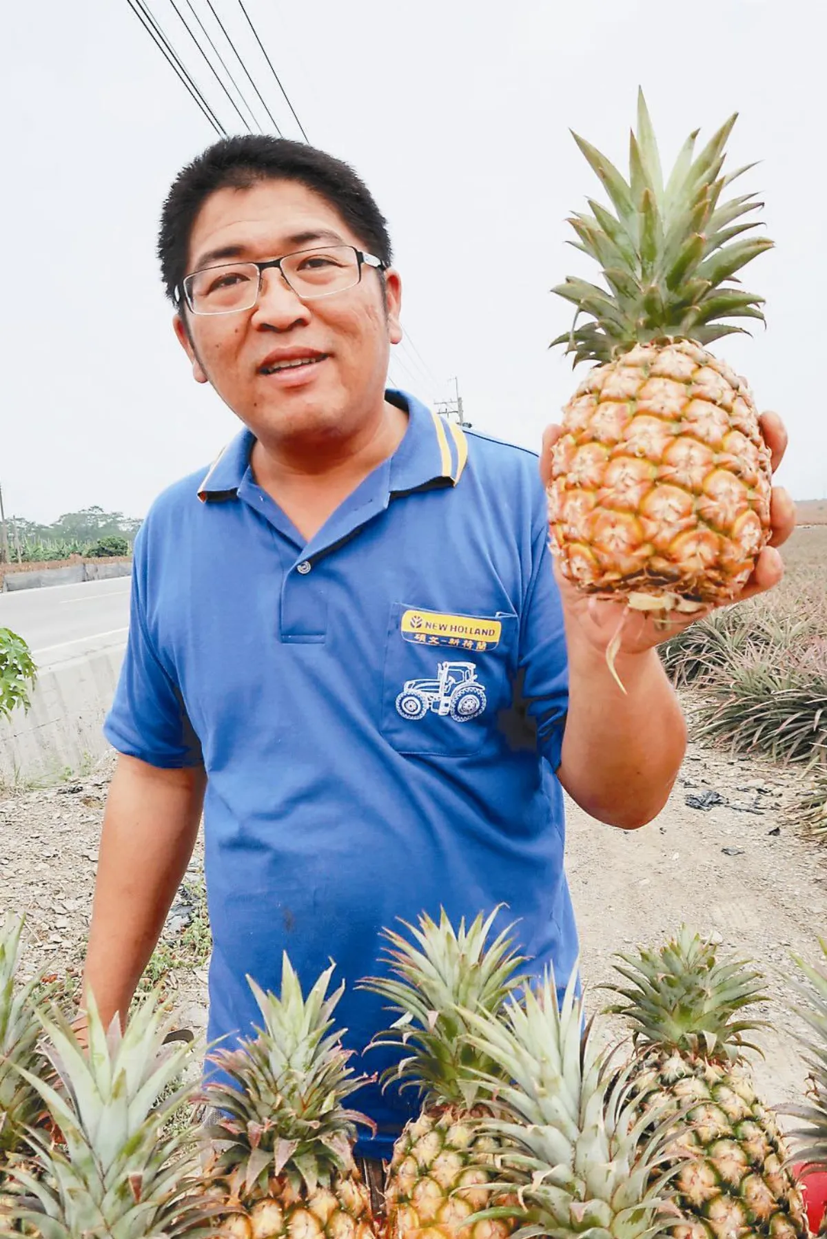 上天意外的禮物 3颱強襲 鳳梨長不大竟熱銷