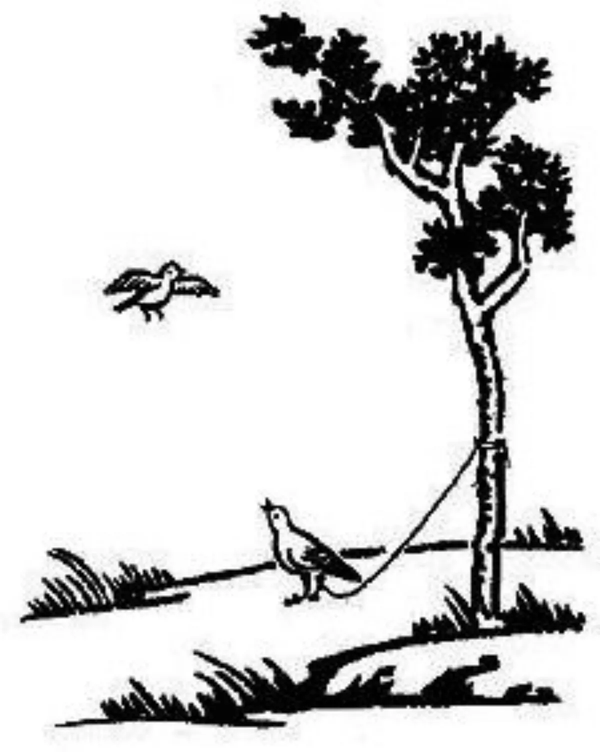 【豐子愷．護生畫集】夫婦