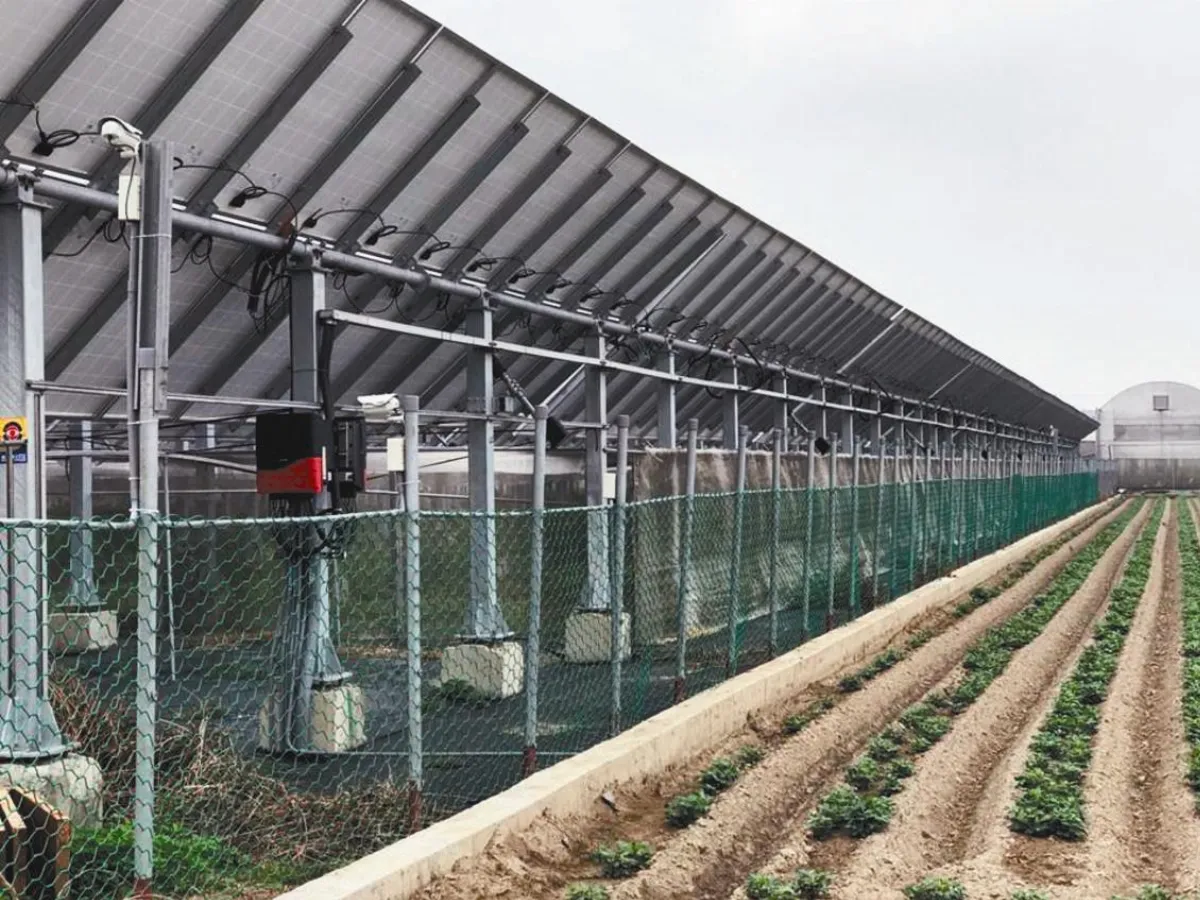 假農耕、真種電 監委南下稽查