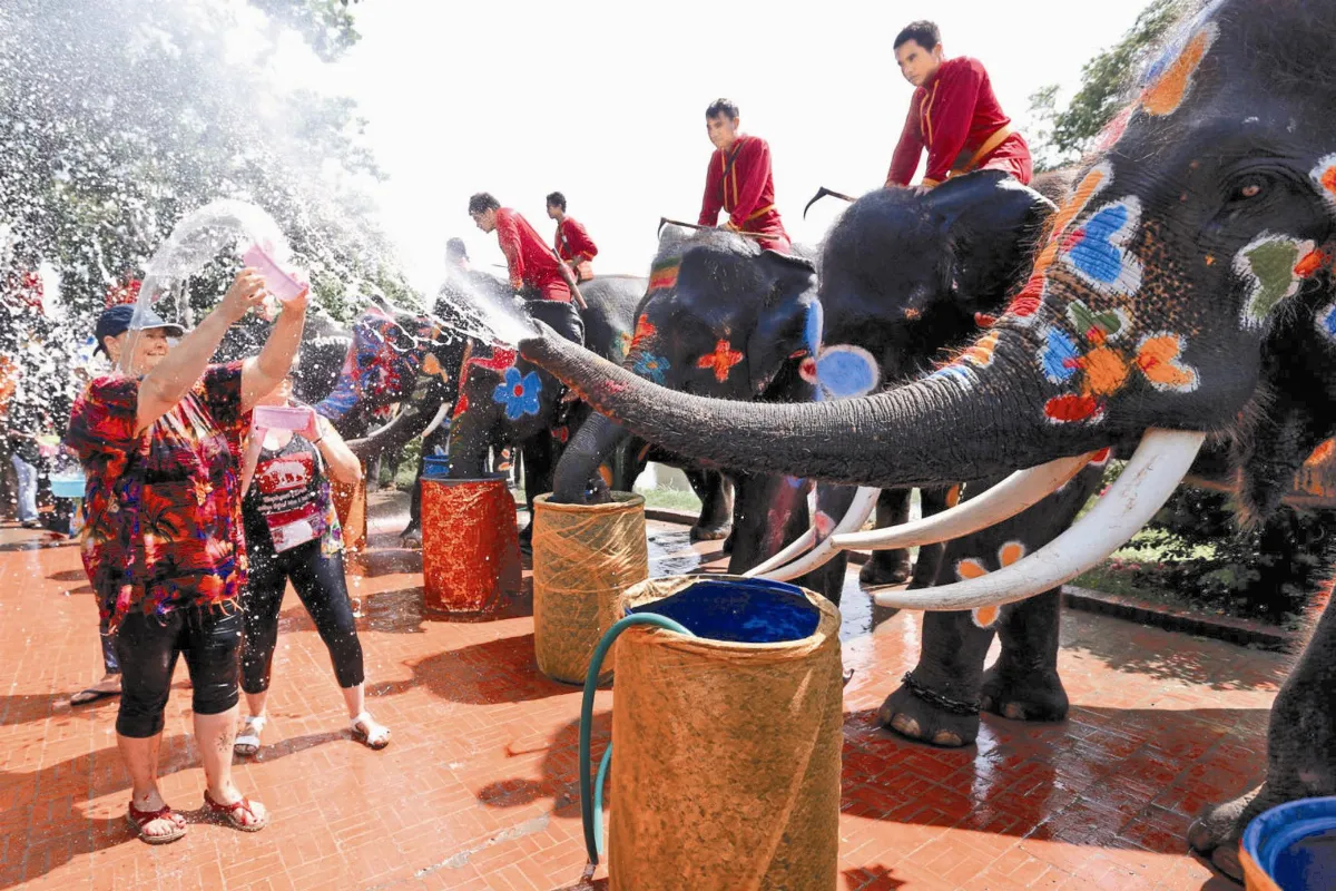 彩象噴水 泰國迎新年