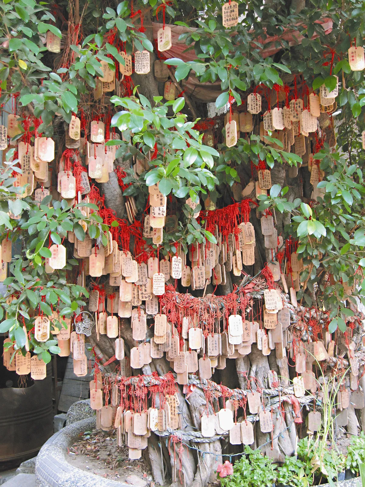 生活快門 祈福