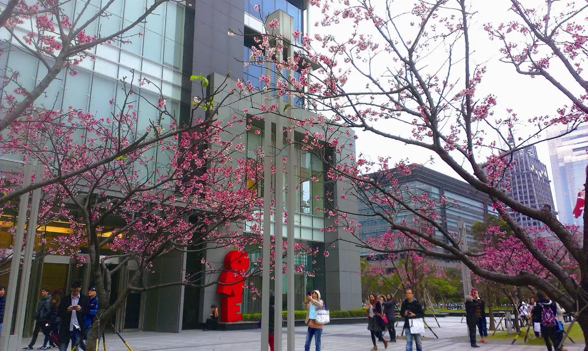 春天記事 3-4月主題徵文 春城無處不飛花